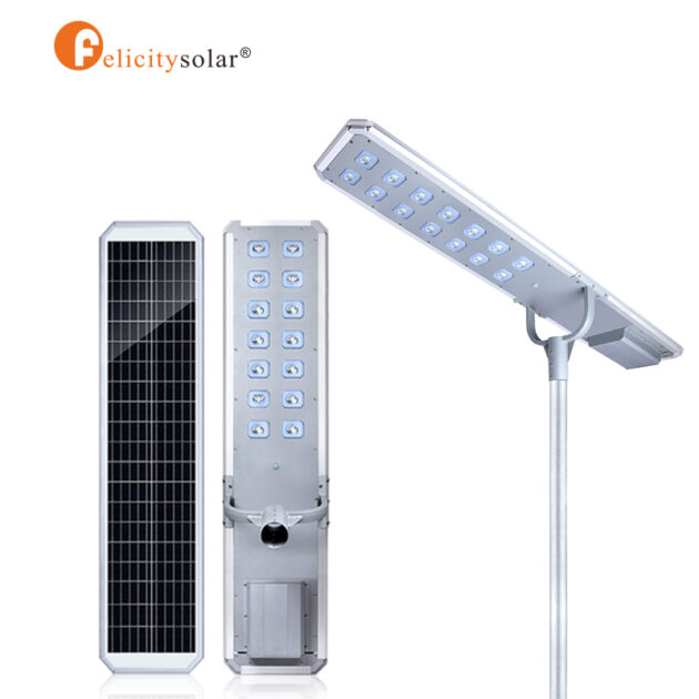 Solar Street Light D2-100W